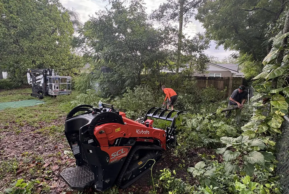 Clearing out vegetation
