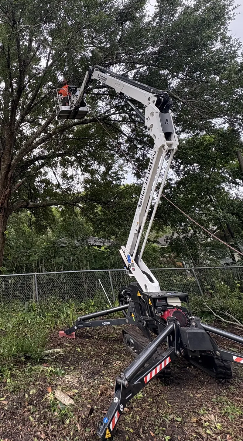 Lift at hard to reach tree