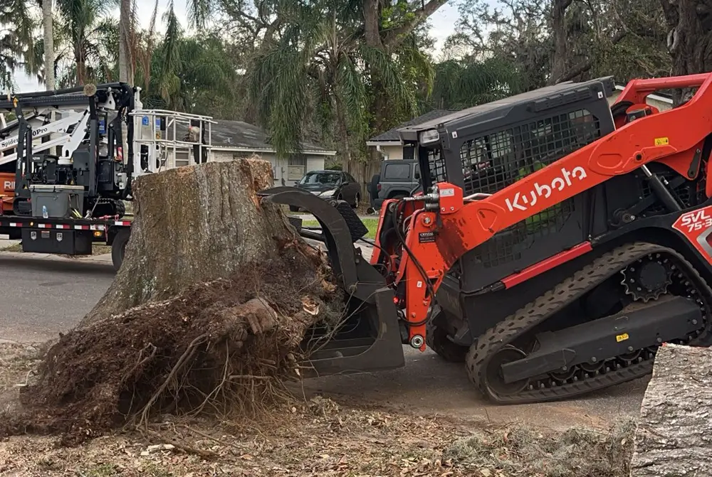 Carrying away a stump